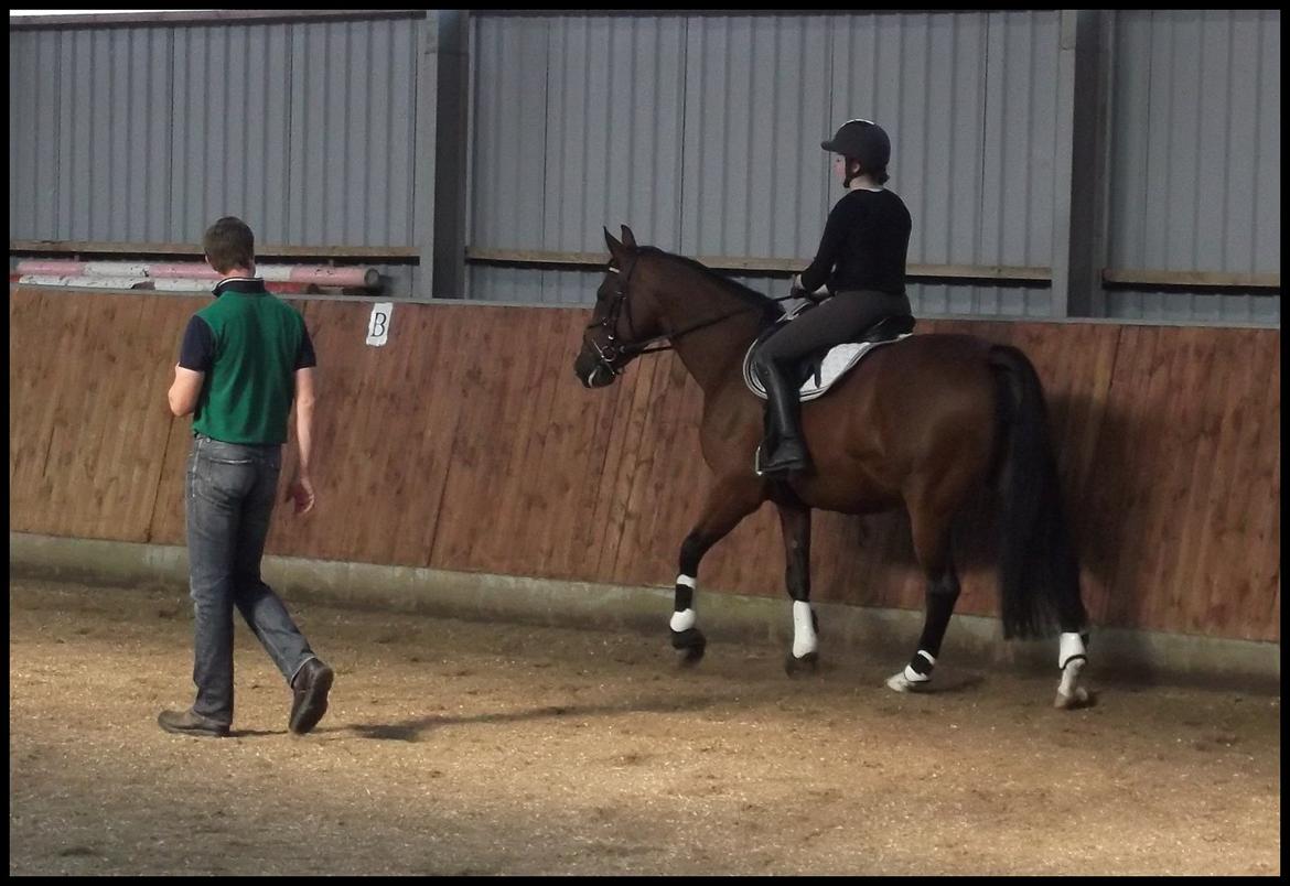 Anden særlig race Mulan - Kursus v. Anders Chortzen billede 17