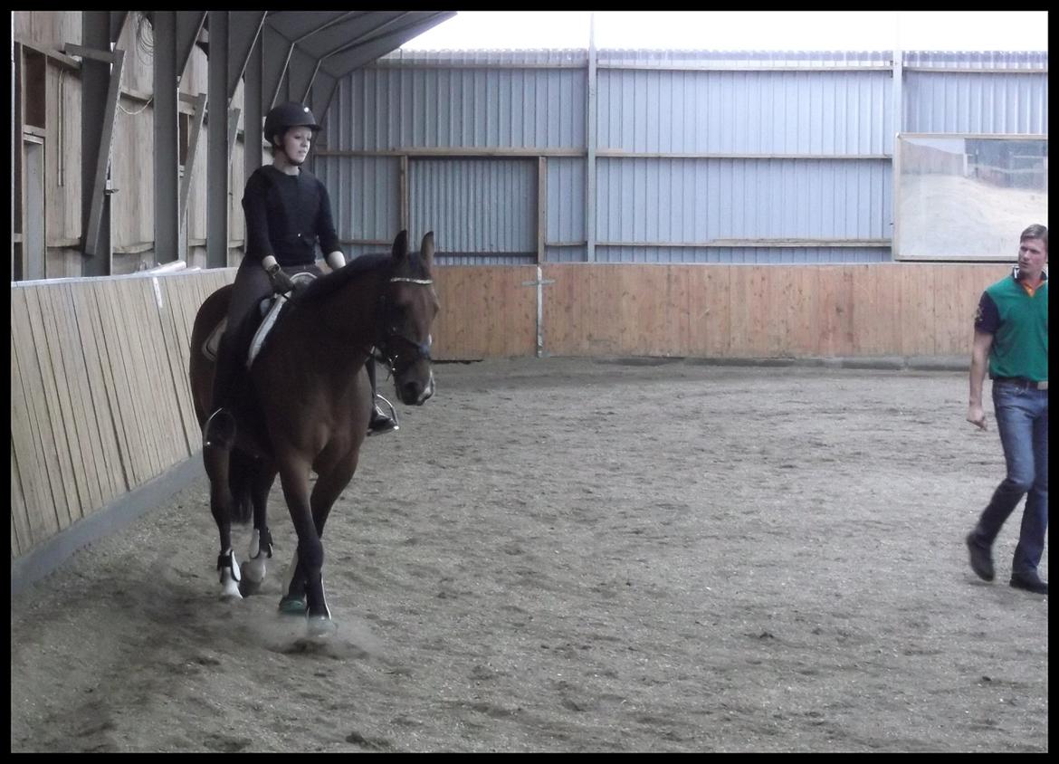 Anden særlig race Mulan - Kursus v. Anders Chortzen billede 1