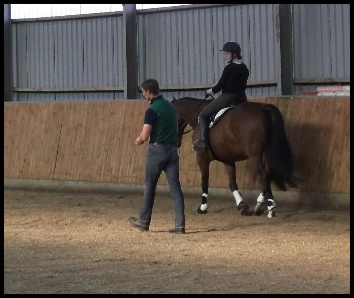 Anden særlig race Mulan - Kursus v. Anders Chortzen billede 18