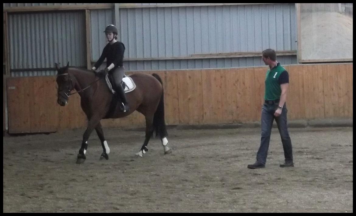 Anden særlig race Mulan - Kursus v. Anders Chortzen billede 19