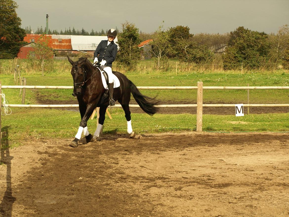 Oldenborg Lukas - 2. gang I Sdr. Omme<3 billede 11