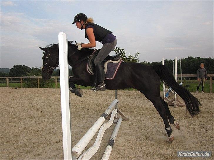 Hollandsk Sportspony Bean Geste- Savner dig :'( - der er ingen der skal sige vi ikke kan!
for det kan vi!
vi springer ikke kun!
vi flyver! <3
flyver til månen! <3
stjernepony! <3 billede 12