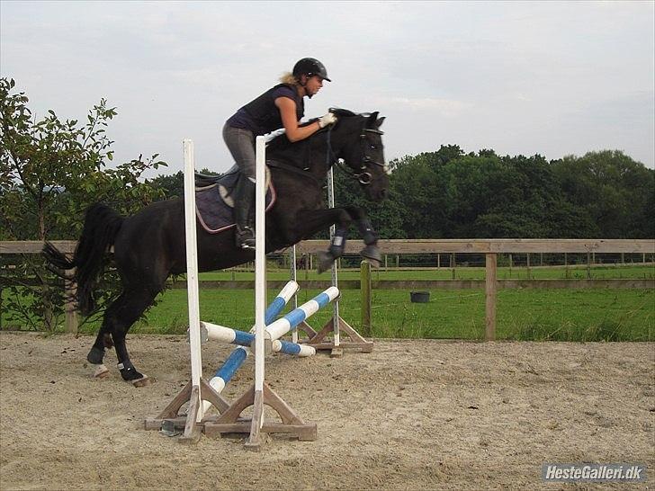 Hollandsk Sportspony Bean Geste- Savner dig :'( - you are the one and only!
my best friend!
my boy!
the one! <3 billede 16