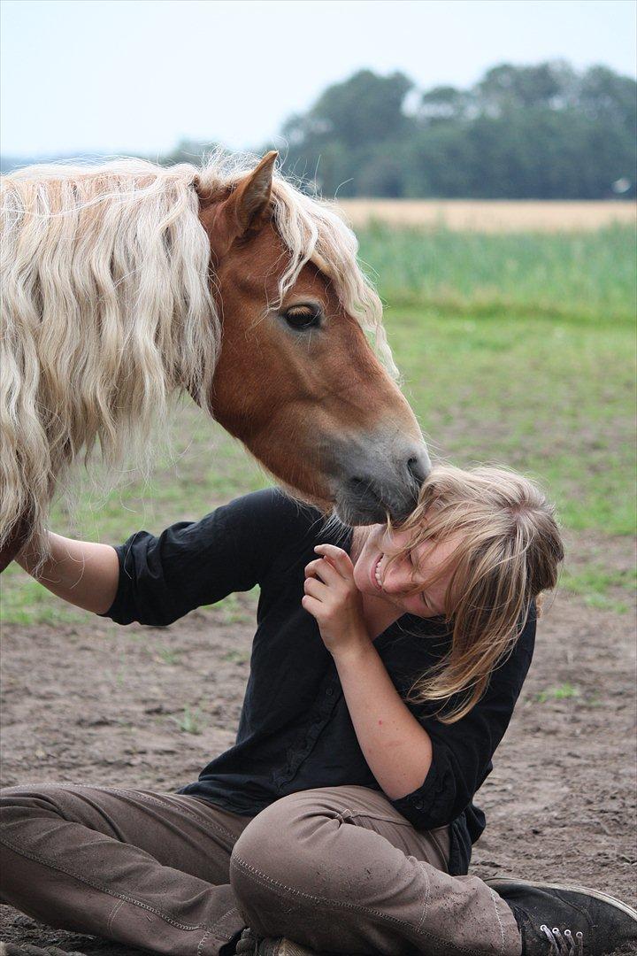 Shetlænder Sir Walther - Krøllen og jeg nusser foto: tina billede 12