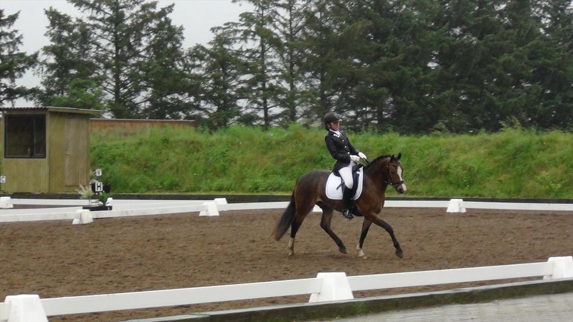 Anden særlig race Kaspar - Du er det bedste jeg ved!:* billede 13