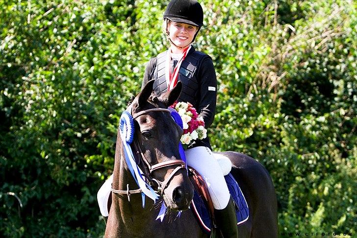 Welsh Pony (sec B) Birkholm's Lars (Gaston) - Verdens bedste pony - Gaston til Distriktsmesterskab 2011 - 2 fejlfrie hovedrunder og omspringning fejlfri over forhindringerne og med mega overskud - SUPER hurtig tid. Jeg lavede desværre en volte inden start, så jeg fik startet tiden - det kostede 4fejl billede 1