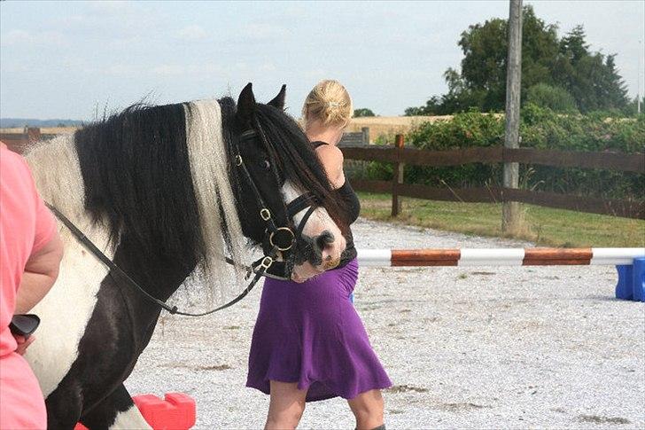 Tinker Sir Elliot - Elliot. billede 6