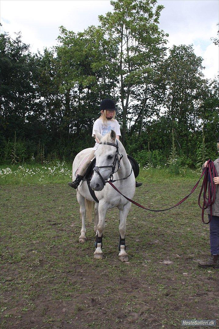 Anden særlig race miggi billede 7