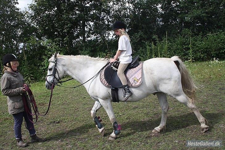 Anden særlig race miggi billede 9