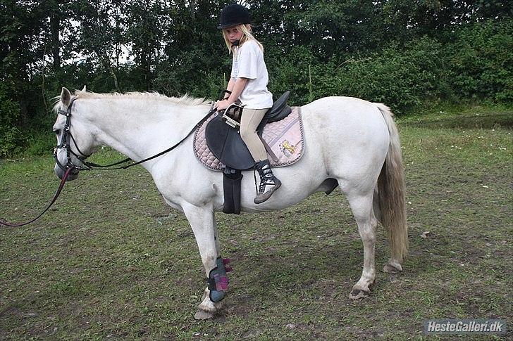 Anden særlig race miggi billede 10