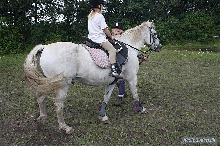 Anden særlig race miggi billede 11