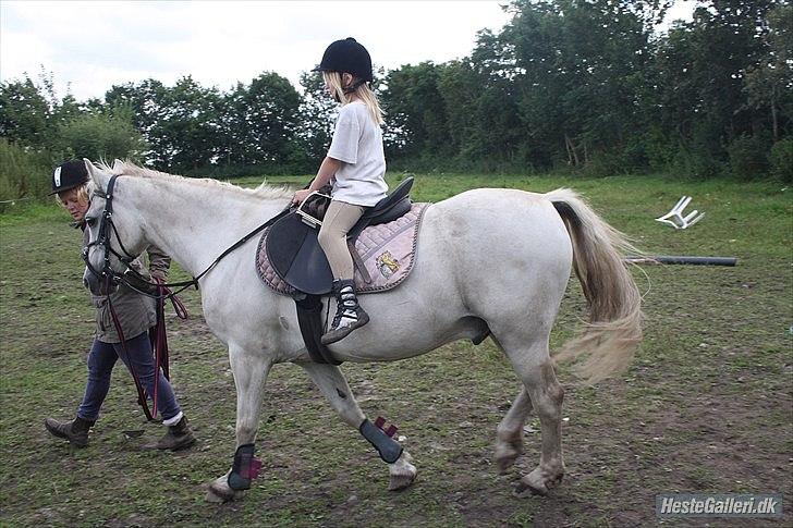 Anden særlig race miggi billede 13