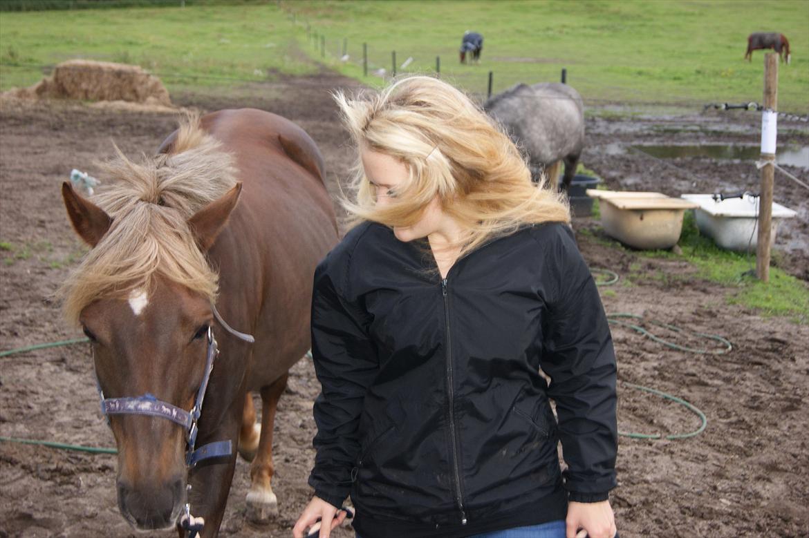 DSP Jolene  billede 4