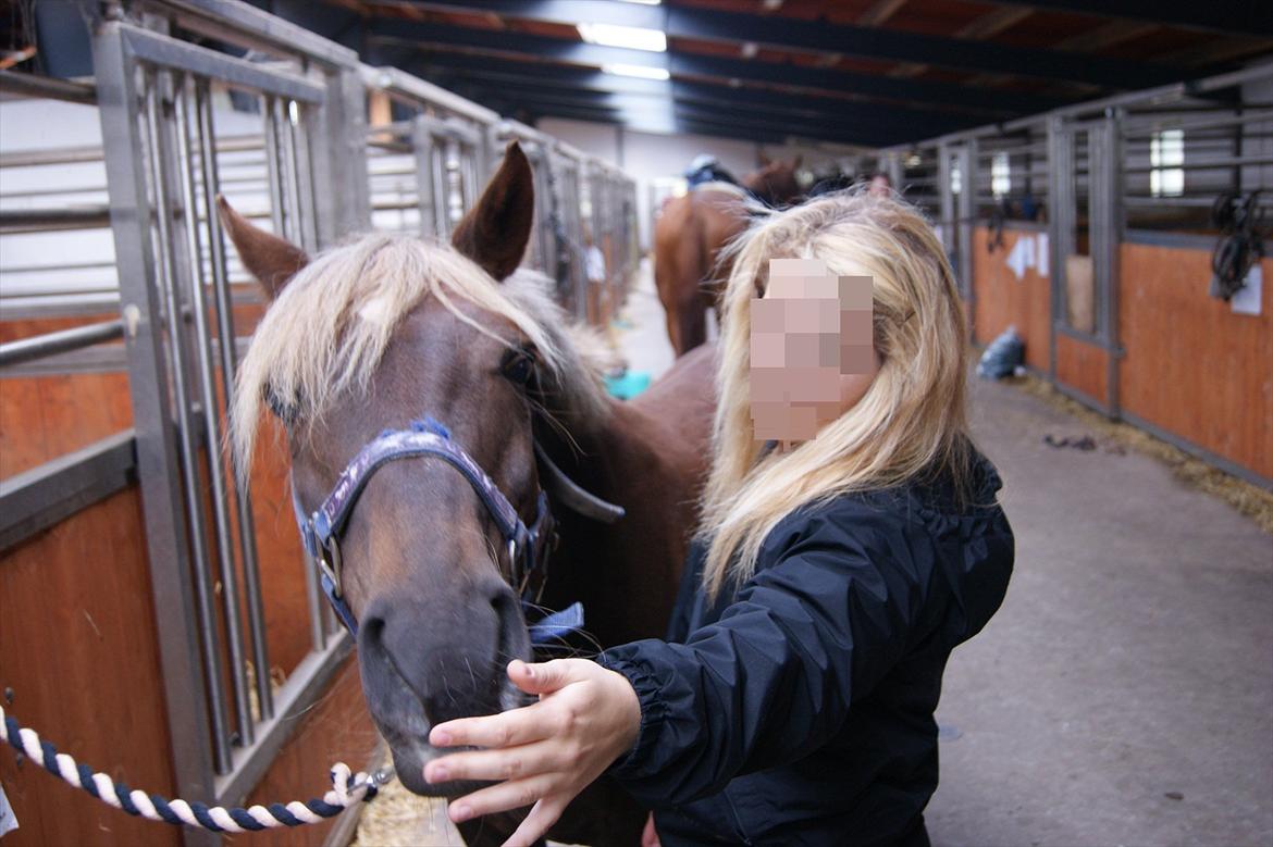 DSP Jolene  - Vi hyggar hæh billede 3