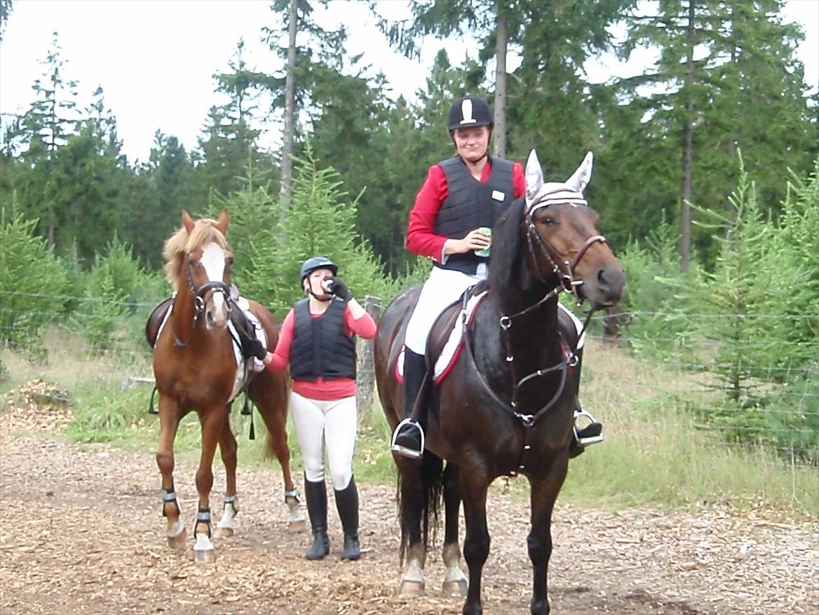 Anden særlig race Sola billede 14