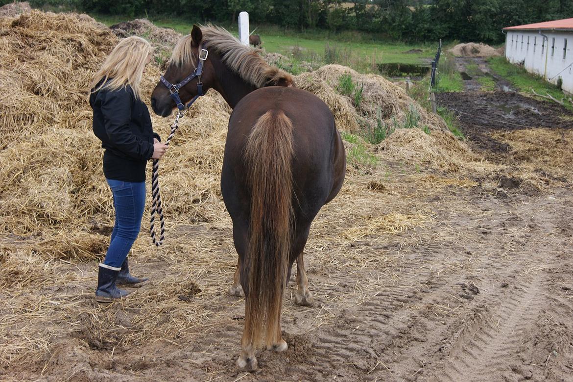 DSP Jolene  billede 2