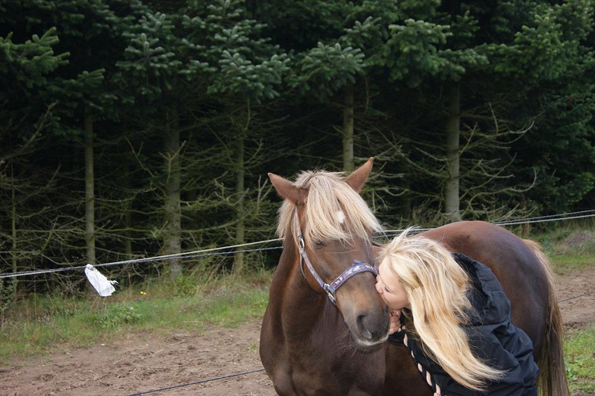 DSP Jolene  billede 9