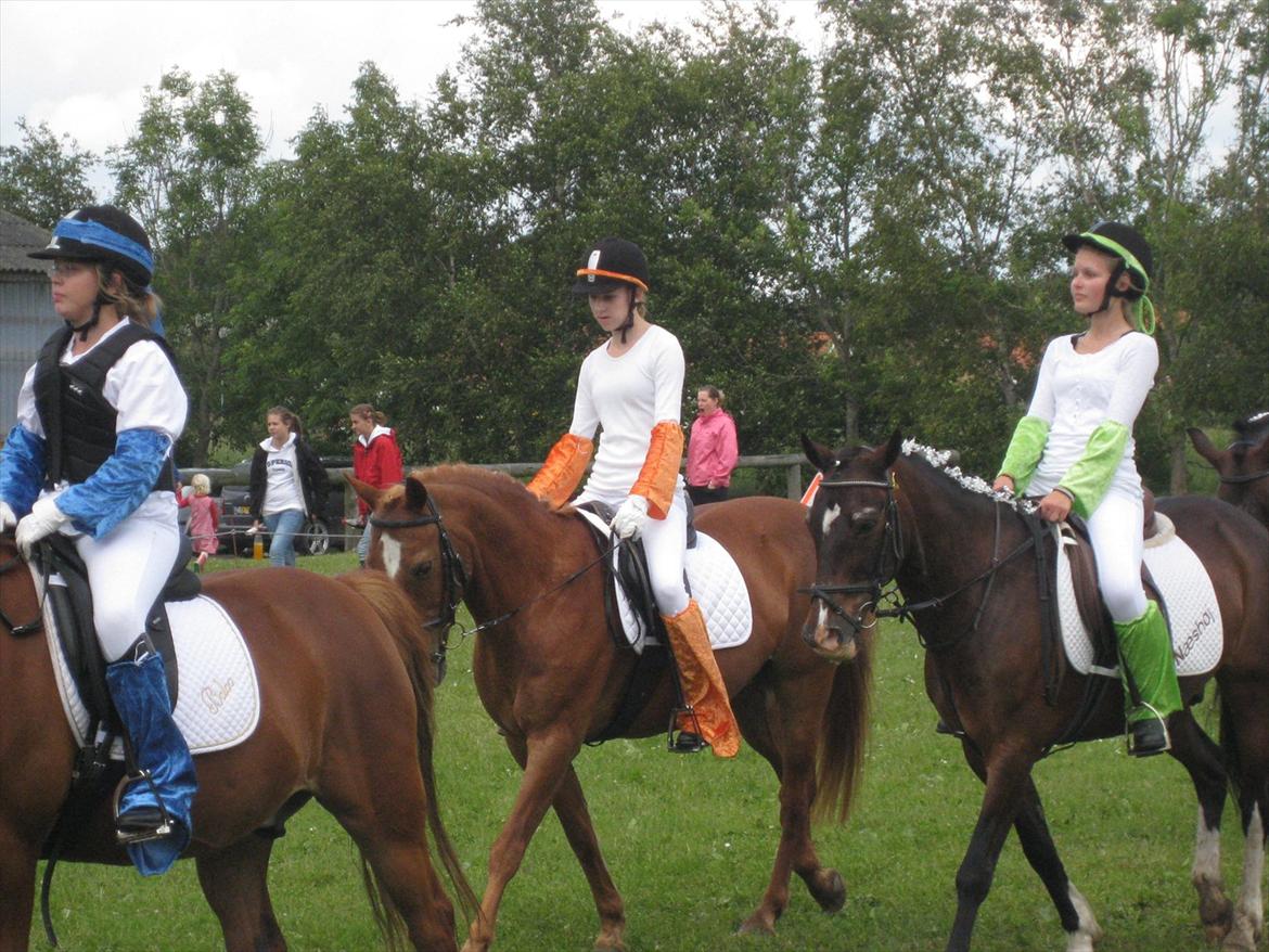Anden særlig race Oliver billede 16