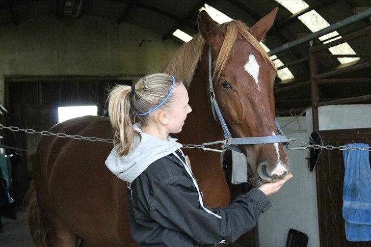 Frederiksborg Zorio Brentedal billede 8