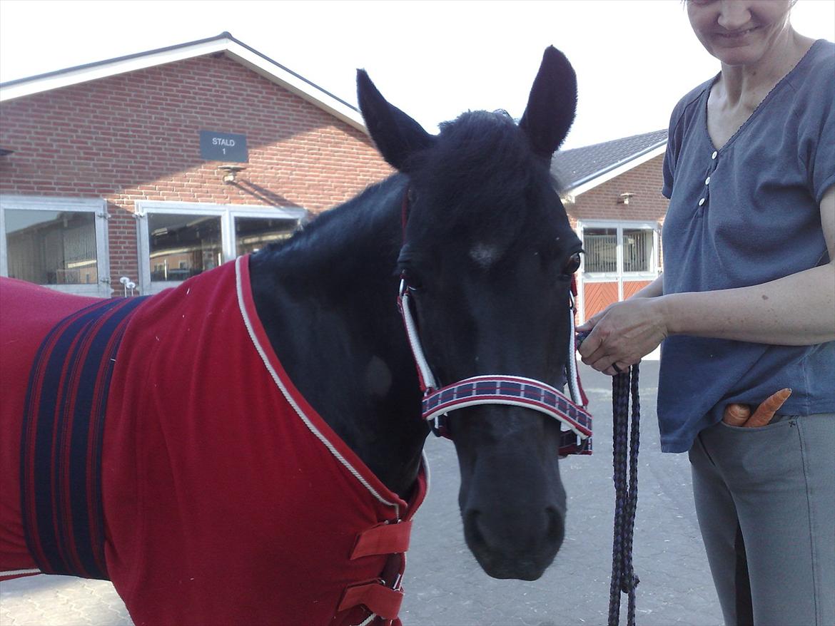 Anden særlig race Magic Manipu <3 - <3 billede 14