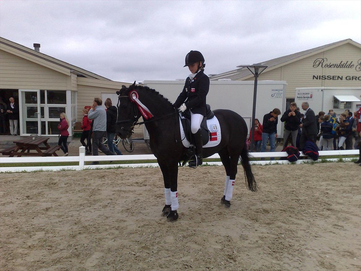 Anden særlig race Magic Manipu <3 - NM 2011 billede 15