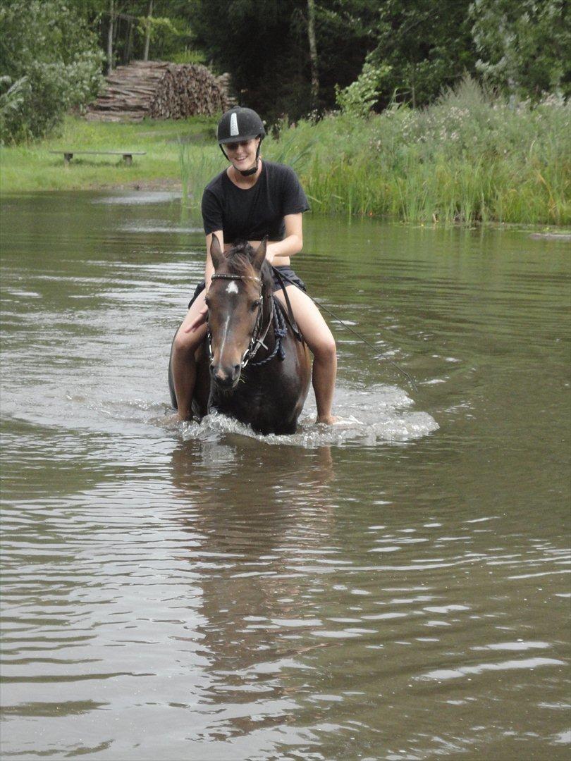 Hollandsk Sportspony Mistery Girl - I BADESØEN MED CIRKEL!!<3
Den aller fedeste oplevelse i hele mit liv altså!! billede 3