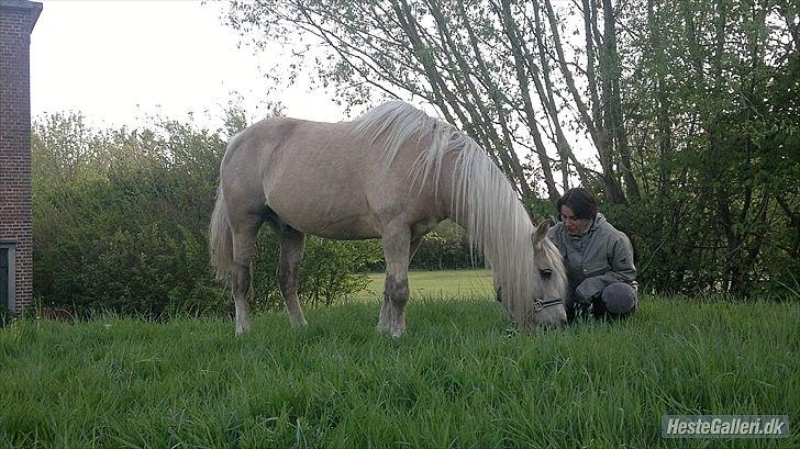 Anden særlig race cæcar billede 11