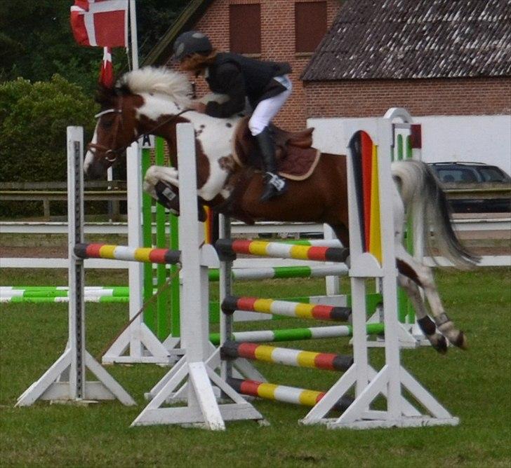 Hollandsk Sportspony Marloes- B-Pony  - MA2** - 0 fejl. 
Distriktmesterskab!  billede 6