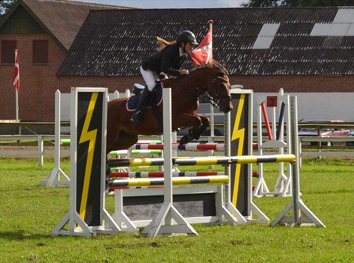 New Forest Filur - B-Pony - Distriktmesterskab 1. runde.  billede 13