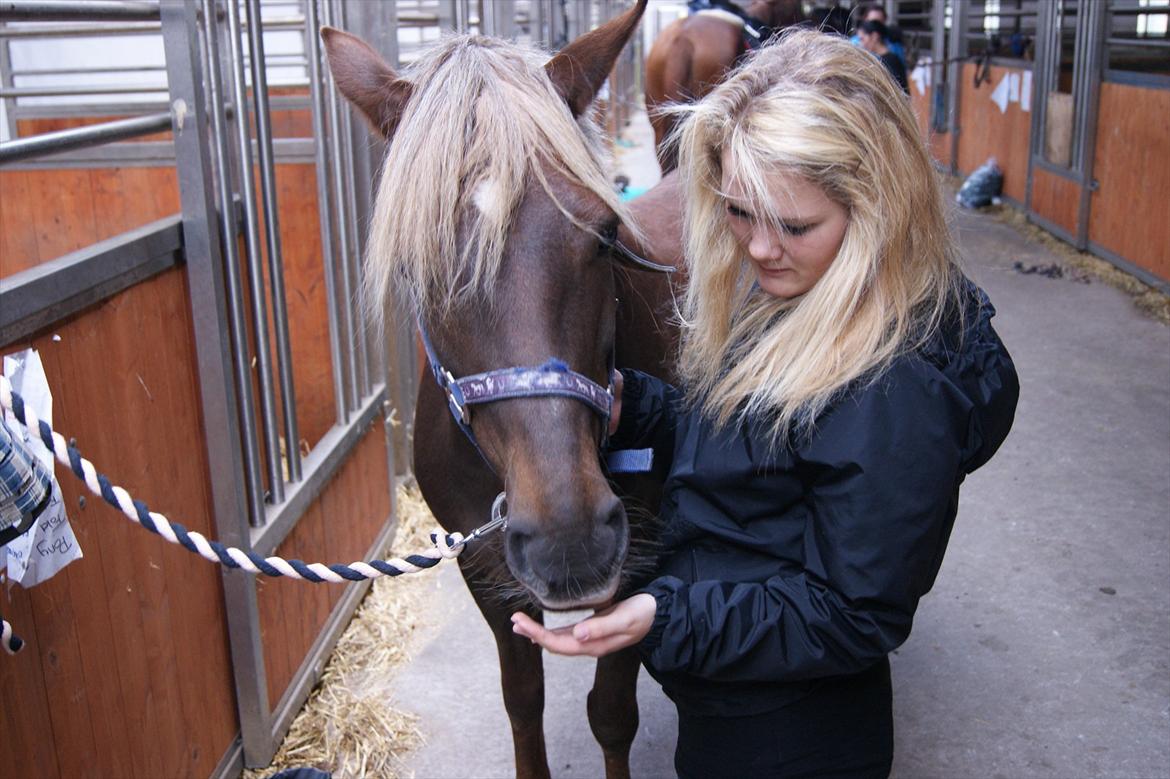 DSP Jolene  - To blondiner hih.
Ej, velkommen til Jolene (pony)s profil! billede 10