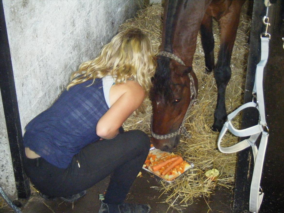 Hollandsk Sportspony Lukas R.I.P [Tidl. Hest] - Det var din fødselsdag:'*
Der bliver desværre ikke fler':'( billede 9