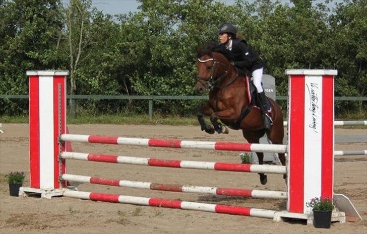 New Forest Filur - B-Pony - I love you! billede 18