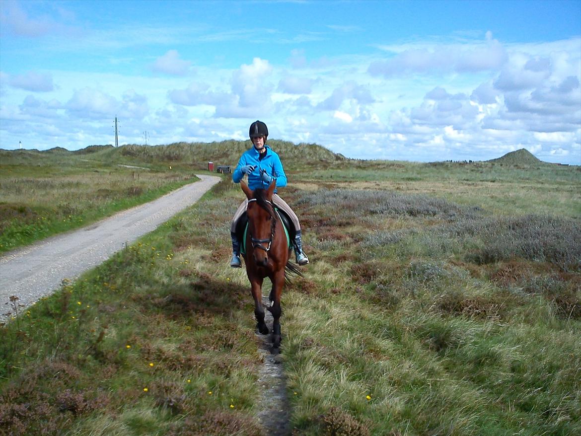 Traver Flying Corona (Fly) - Vi rider en tur i heden :)
 billede 5