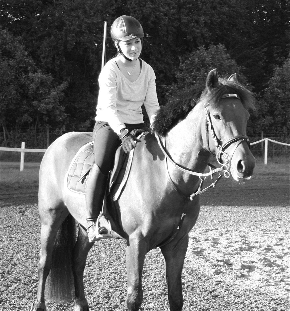 New Forest Lundgaards Kahlua - solgt :'( billede 4