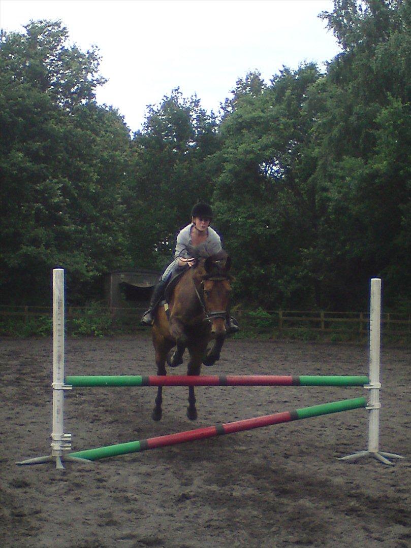 Anden særlig race Liva the Diva *R.I.P.* billede 15