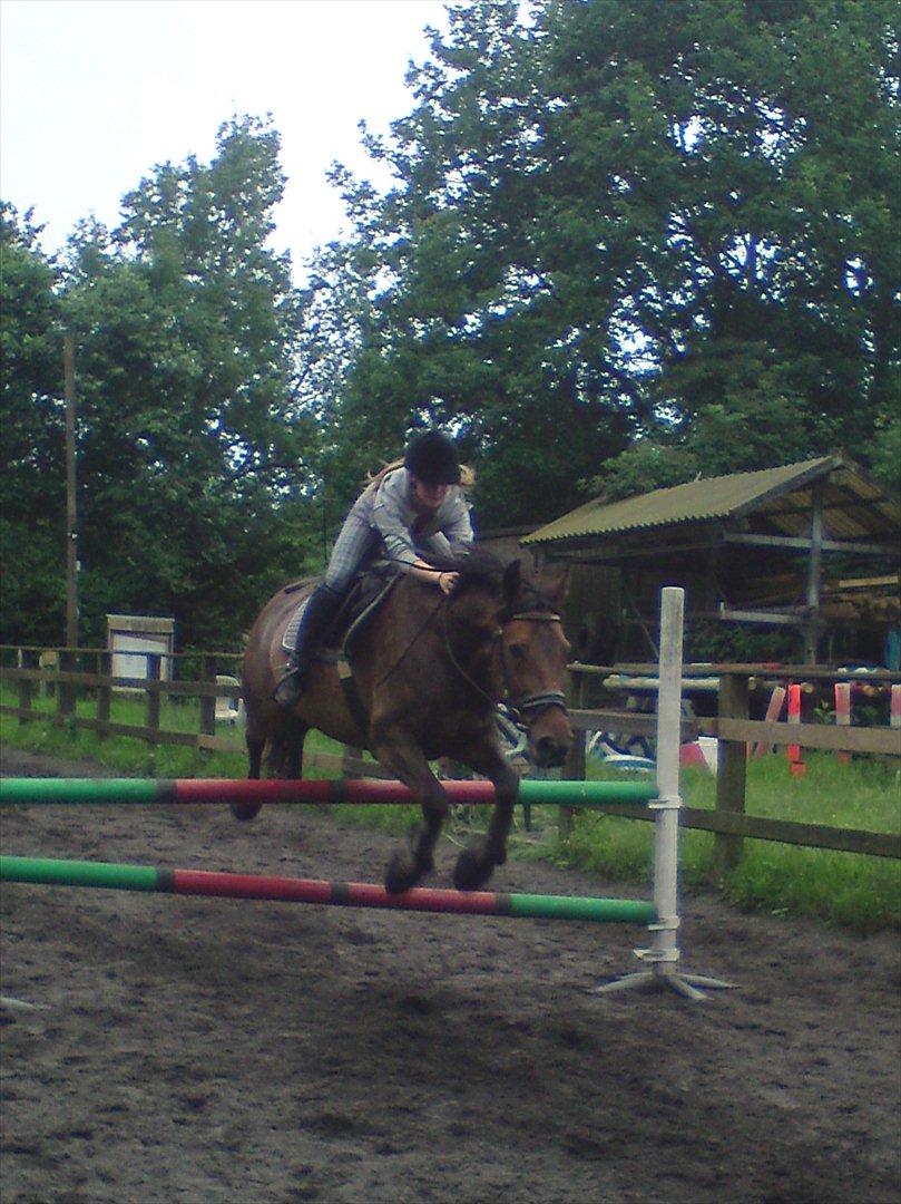 Anden særlig race Liva the Diva *R.I.P.* billede 16