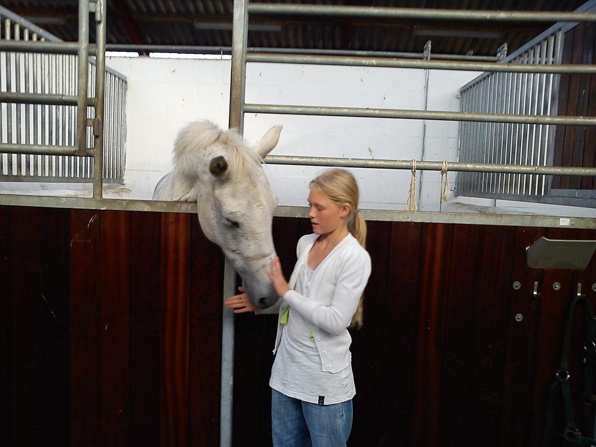 Anden særlig race Sussi - Hvor er du bare sød billede 1
