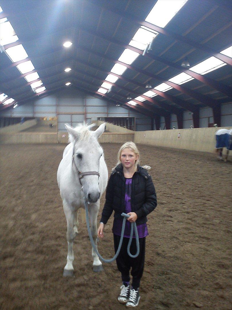 Anden særlig race Sussi billede 3