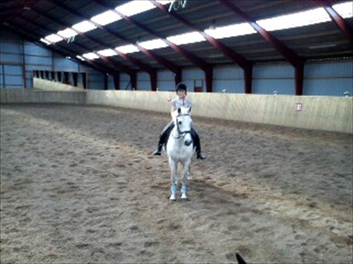 Anden særlig race Sussi - Voers anden ride tur sammen billede 7