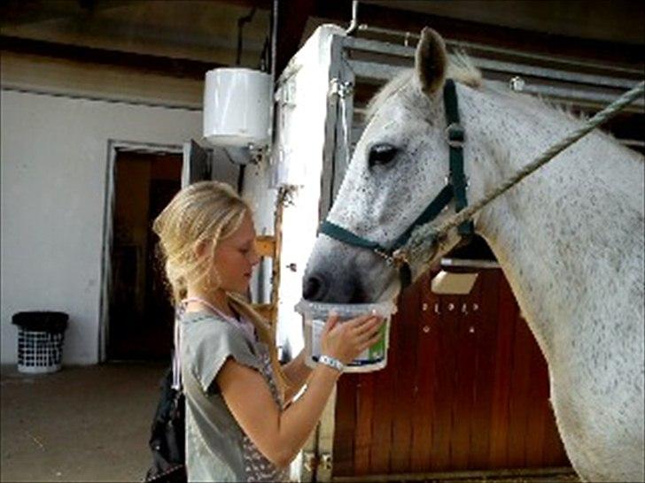 Anden særlig race Sussi billede 11
