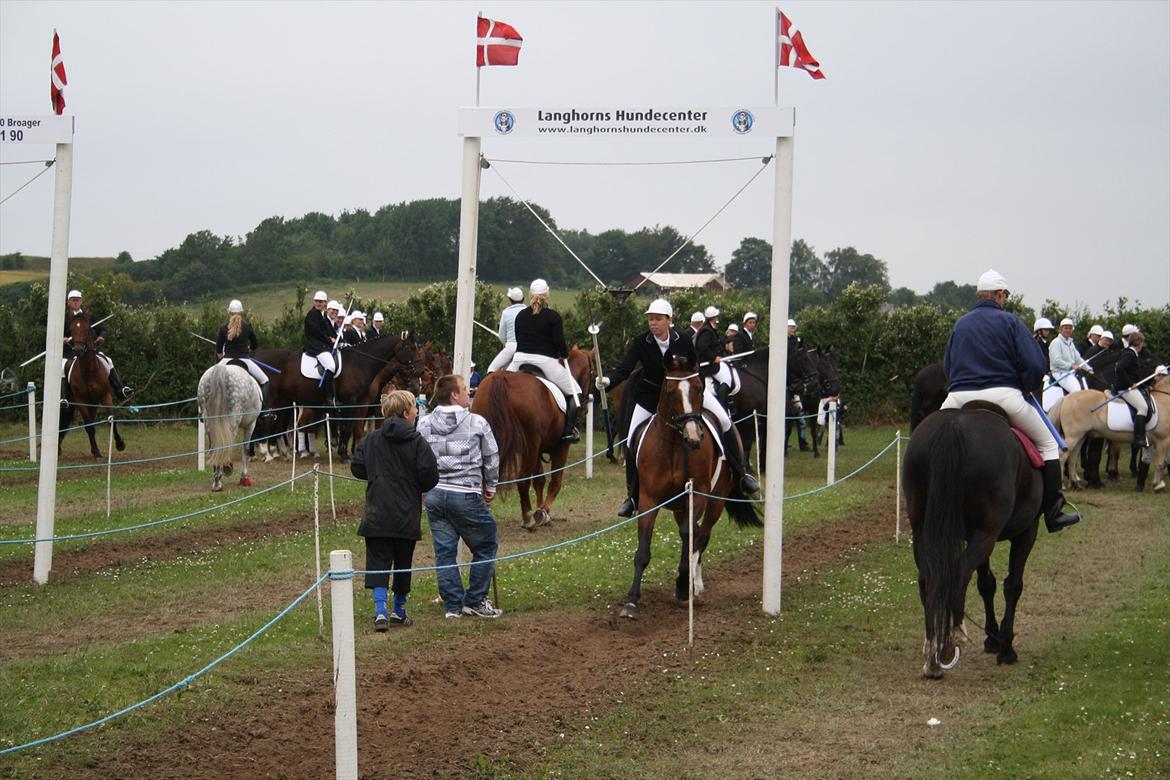 Dansk Varmblod Leika *R.I.P* - Broager Ringridning 2011 billede 2