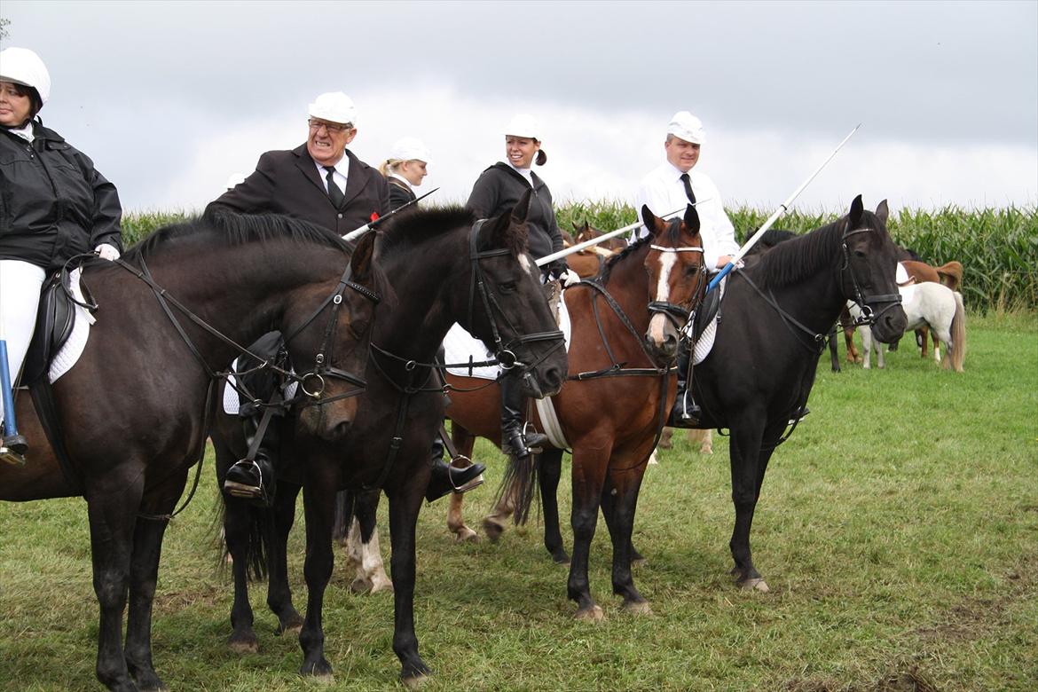 Dansk Varmblod Leika *R.I.P* - Vi hygger lidt inden det bliver vores tur - Skelde Ringridning 2011 billede 3