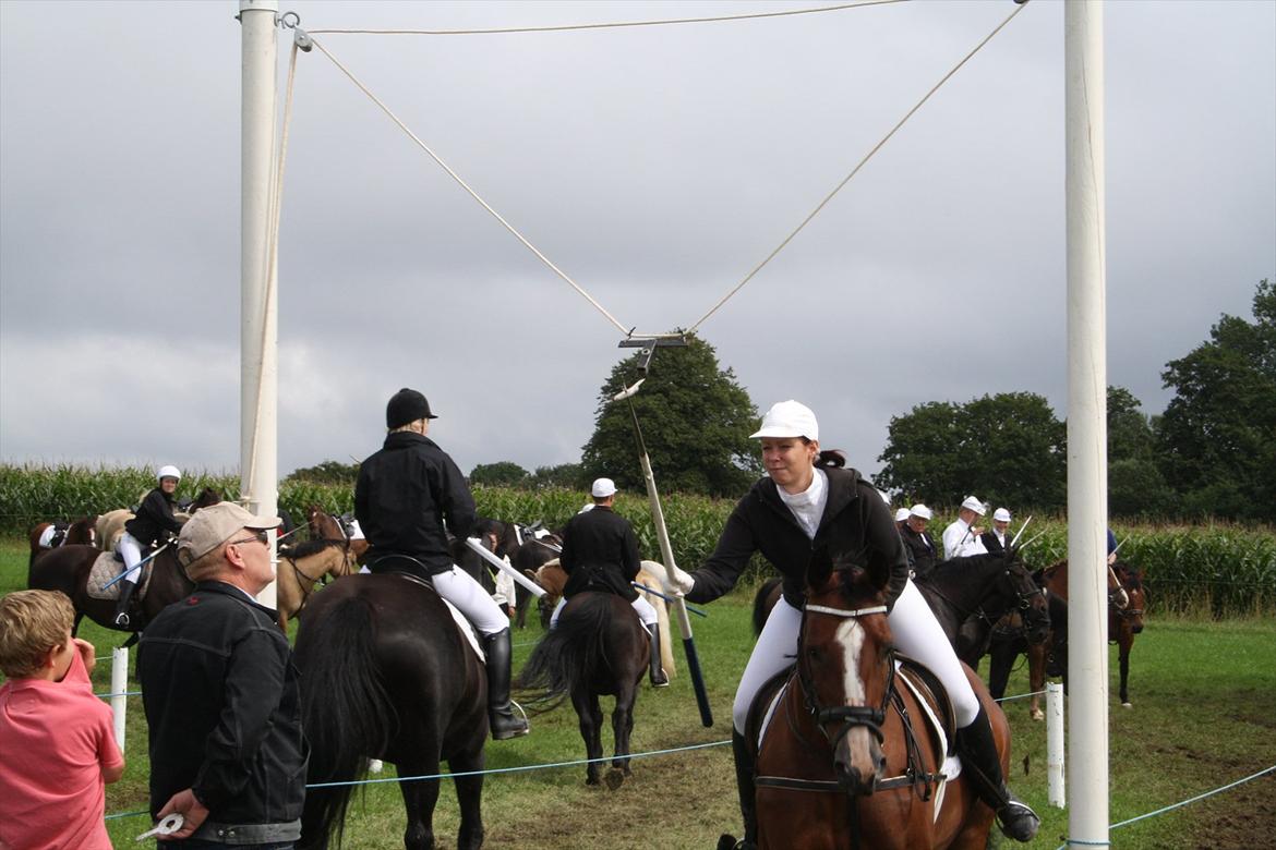 Dansk Varmblod Leika *R.I.P* - Skelde Ringridning 2011 billede 4