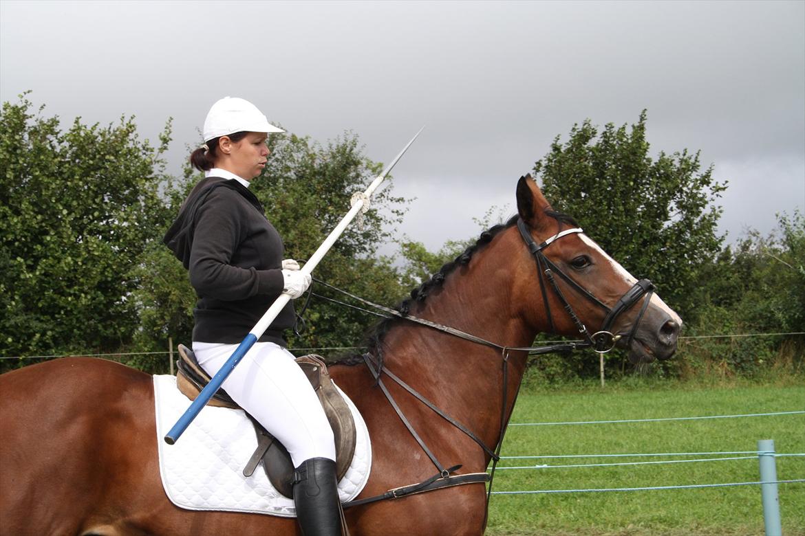 Dansk Varmblod Leika *R.I.P* - Her blev hun vidst lige lidt forskrækket ;)
Skelde Ringridning 2011 billede 5