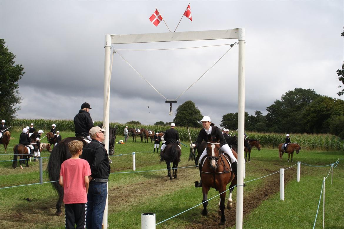 Dansk Varmblod Leika *R.I.P* - Skelde Ringridning 2011 billede 6