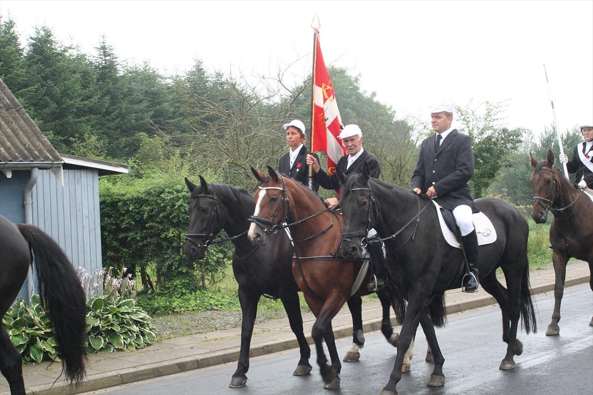 Dansk Varmblod Leika *R.I.P* - Leika som fane hest med hendes ejer - Skelde Ringridning 2011 billede 9