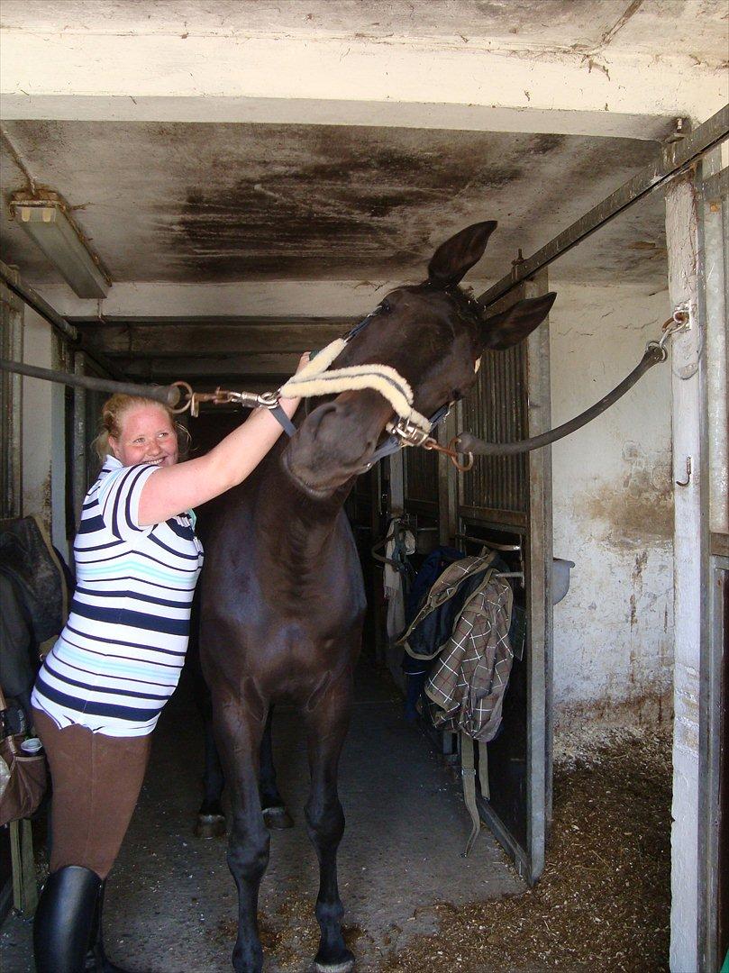 Trakehner Lefitia "Effie"  - Dejligt med gnubning? billede 15