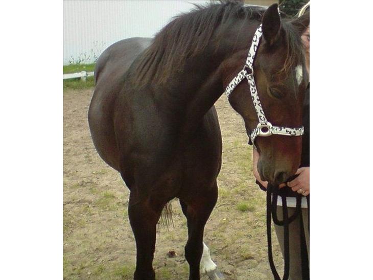 {{currentPhoto.altText}} billede {{currentPhoto.number}}