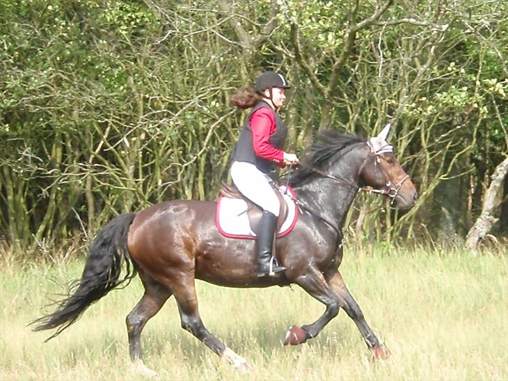 {{currentPhoto.altText}} billede {{currentPhoto.number}}