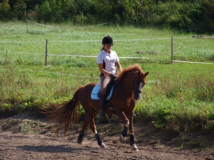 {{currentPhoto.altText}} billede {{currentPhoto.number}}